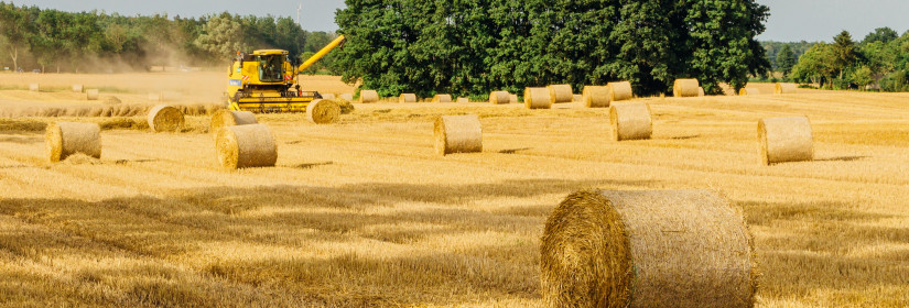 The Future of Farming: How AI is Changing Agriculture