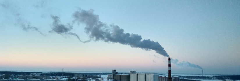 Effective Measures for Businesses to Diminish Their Carbon Impact